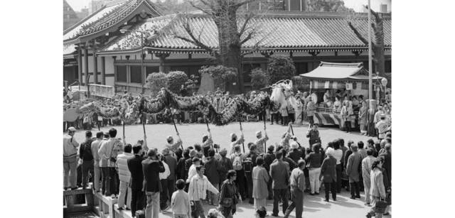 <strong>写心気 267</strong> Photo by 立木義浩