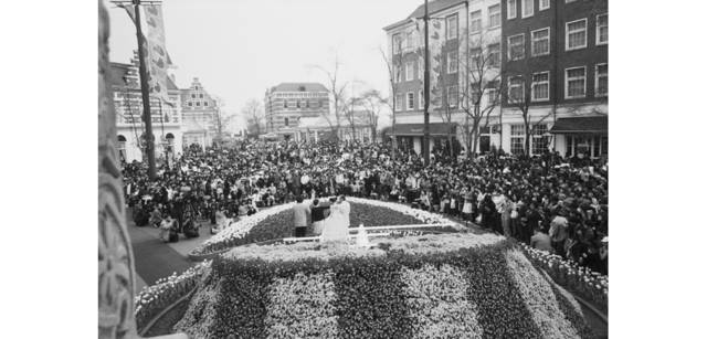 <strong>写心気 268</strong> Photo by 立木義浩