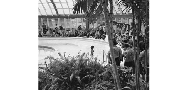 <strong>写心気 273</strong> Photo by 立木義浩