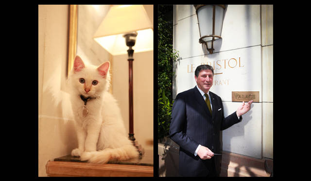 <strong>フランス｜ル・ブリストル</strong>　ル・ブリストルの顔といえば、こちら。ひとりはあたらしく総支配人に就任したディディエ・ル・カルヴェズ氏。ニューヨークのピエール、フォーシーズン ホテルジョルジュサンク　パリなどを経てル・ブリストルへ。もうひとり（一匹？）はビルマ猫のファロン。一歳。
