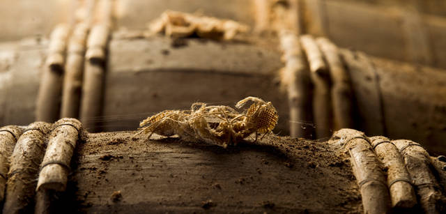 <strong>LOUIS XIII｜ルイ13世</strong>　