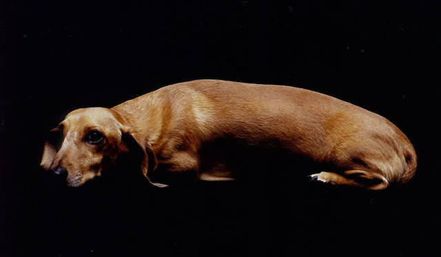 <strong>島田 明｜Life is Edit. #027</strong>　撮影＝稲田美嗣