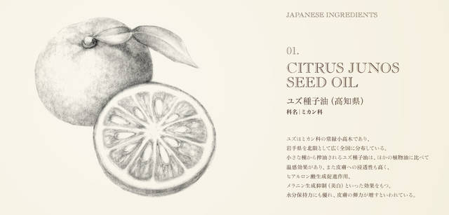 <strong>THREE｜スリー</strong>　日本の伝承的な植物の力に託す、待望のクリーム「ハンド ＆ アーム クリーム AC」誕生