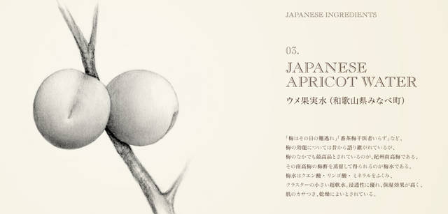 <strong>THREE｜スリー</strong>　日本の伝承的な植物の力に託す、待望のクリーム「ハンド ＆ アーム クリーム AC」誕生