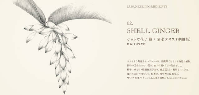 <strong>THREE｜スリー</strong>　日本の伝承的な植物の力に託す、待望のクリーム「ハンド ＆ アーム クリーム AC」誕生