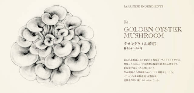 <strong>THREE｜スリー</strong>　日本の伝承的な植物の力に託す、待望のクリーム「ハンド ＆ アーム クリーム AC」誕生