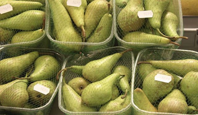 <strong>Yoko Ueno Lewis｜暮らしノート｜スウェーデン直感紀行　Vol.1</strong>　スーパーマーケットでみつけた梨たち。パッケージは梨を引き立てる目的に徹しているがゆえに美しい。宣伝もよけいなお世話もない。