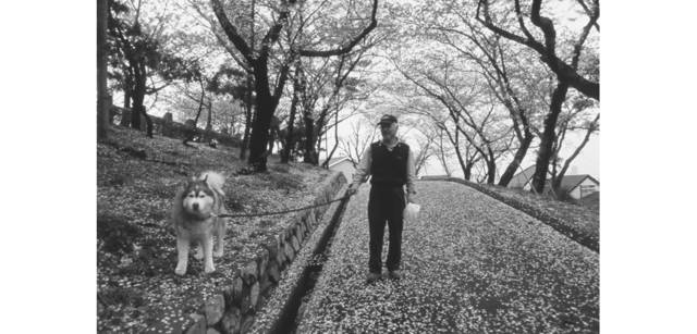 <strong>写心気 277</strong> Photo by 立木義浩