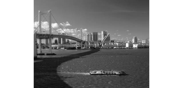 <strong>写心気 279</strong> Photo by 立木義浩