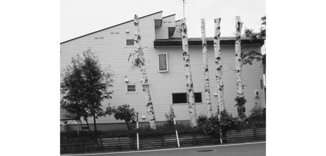 <strong>写心気 290</strong> Photo by 立木義浩