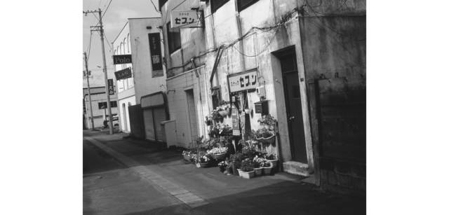 <strong>写心気 292</strong> Photo by 立木義浩