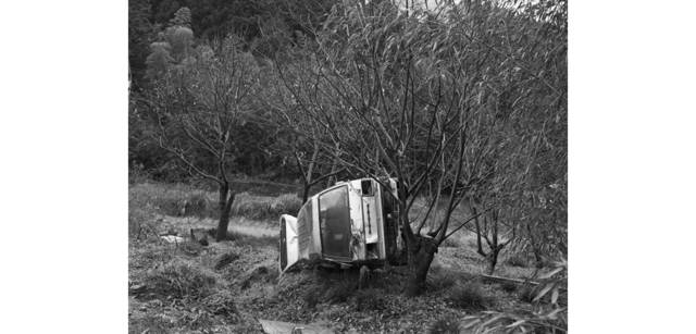 <strong>写心気 293</strong> Photo by 立木義浩