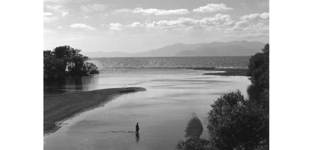 <strong>写心気 295</strong> Photo by 立木義浩