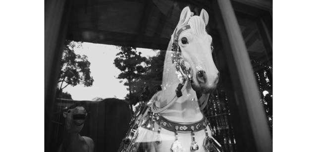 <strong>写心気 297</strong> Photo by 立木義浩