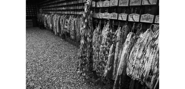 <strong>写心気 298</strong> Photo by 立木義浩