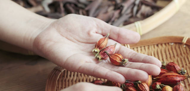 <strong>THREE｜スリー　染織家　清水繭子さんが語る、植物の力</strong>　「植物の色に自分が合わせたら、それまでになかったような透明感溢れる色が出て、植物のいちばんいい状態を引き出せたと実感できることもしばしば。生き生きとして、それぞれにあたたかさや深みがある。創造力も掻き立てられます」