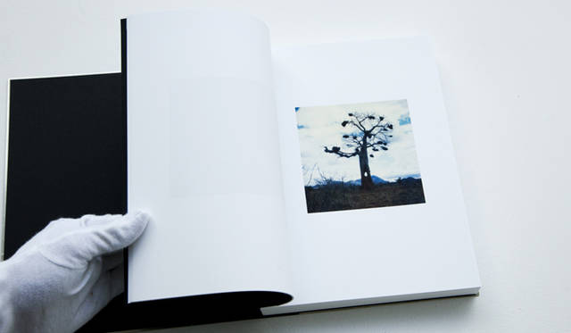 <strong>個展『陽と骨II』開催  写真家 操上和美インタビュー</strong>