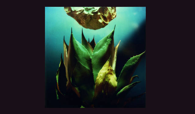 <strong>個展『陽と骨II』開催  写真家 操上和美インタビュー</strong>