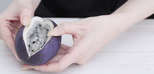 <strong>THREE｜スリー　フードアーティスト　諏訪綾子さんが語る、五感に響く植物の力</strong>　諏訪さんが創作する食べものには、野菜や果物がフレッシュなまま使われることが多い。水を扱うことが多く、そのために、普通のひと以上にハンドケアに気をつけているという彼女は、普段からハンドケア用に2種類のクリームを持ち歩いているそう。