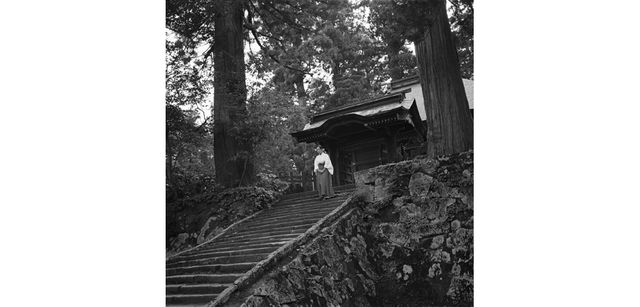 <strong>写心気 310</strong> Photo by 立木義浩