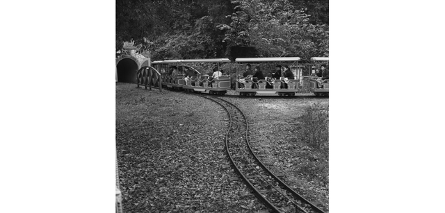 <strong>写心気 312</strong> Photo by 立木義浩