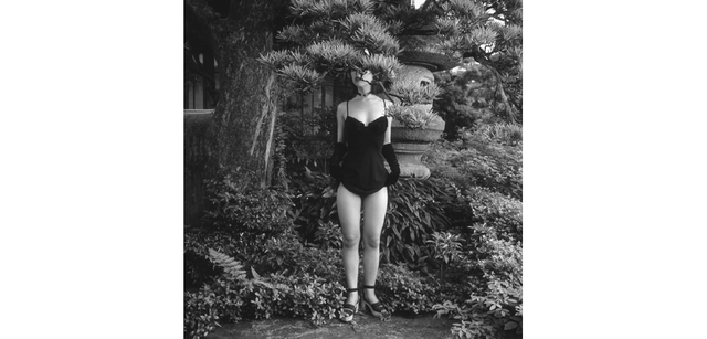 <strong>写心気 313</strong> Photo by 立木義浩