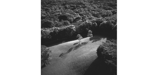 <strong>写心気 314</strong> Photo by 立木義浩