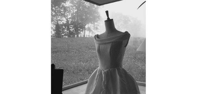 <strong>写心気 318</strong> Photo by 立木義浩