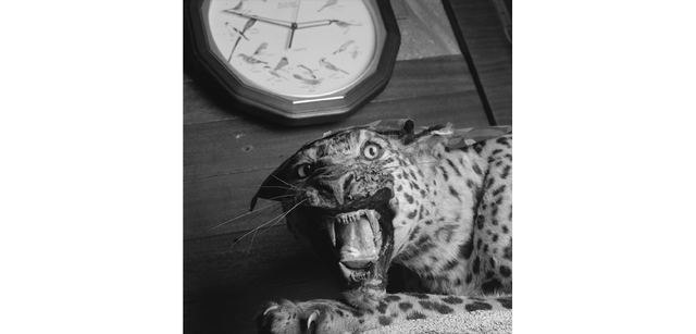 <strong>写心気 325</strong> Photo by 立木義浩