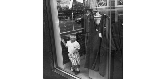 <strong>写心気 331</strong> Photo by 立木義浩