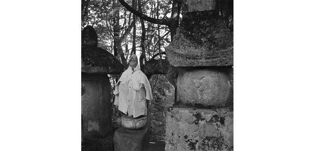 <strong>写心気 332</strong> Photo by 立木義浩