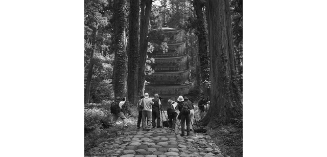 <strong>写心気 333</strong> Photo by 立木義浩