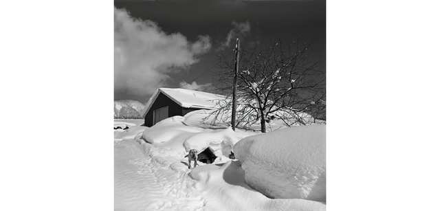 <strong>写心気 334</strong> Photo by 立木義浩