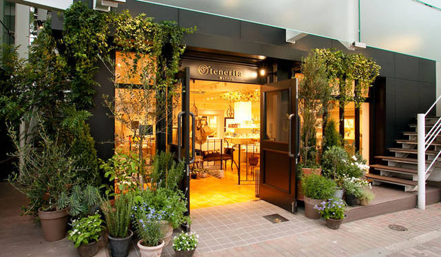 <strong>tenerita Maison｜テネリータ・メゾン</strong>　『テネリータ・メゾン広尾』