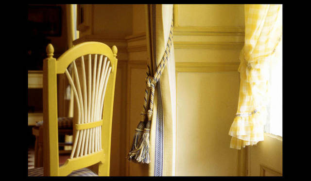 <strong>carnet de jardin｜松永 学</strong>　黄色は光を浴びて透明になる