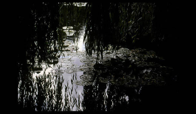 <strong>carnet de jardin｜松永 学</strong>　これも光のパレットに