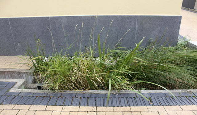 <strong>Yoko Ueno Lewis｜暮らしノート｜スウェーデン直感紀行　Vol.2</strong>　　