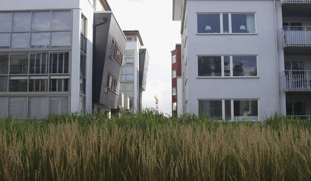 <strong>Yoko Ueno Lewis｜暮らしノート｜スウェーデン直感紀行　Vol.2</strong>　　