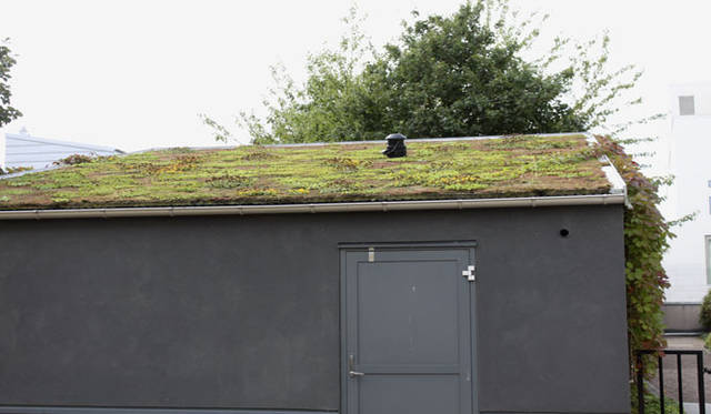 <strong>Yoko Ueno Lewis｜暮らしノート｜スウェーデン直感紀行　Vol.2</strong>　　屋根には特殊なシート状の苗床を敷いて、コケ類や菌類などの植物を繁殖させています。