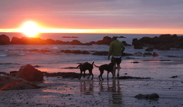 <strong>GRIFFIN｜グリフィン</strong>　英国ノースデボンのハートランド