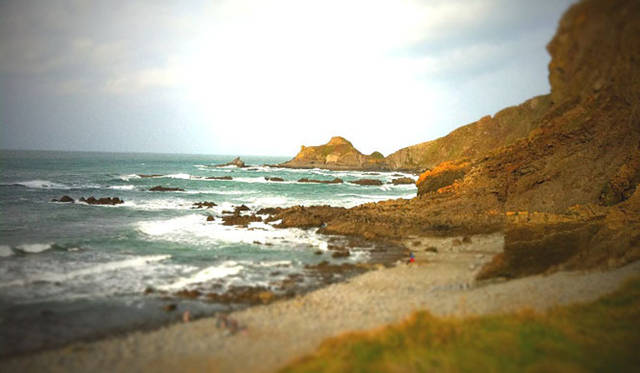 <strong>GRIFFIN｜グリフィン</strong>　英国ノースデボンのハートランド