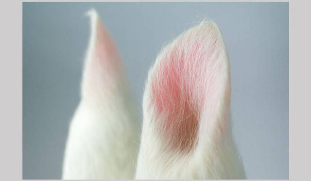 <strong>マシュー・ワォルドマン</strong>　 Beijing Trip　「Unmask Group X Nooka」