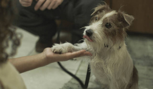 <strong>人生はビギナーズ｜OPENERS読者を特別試写会にご招待！</strong>