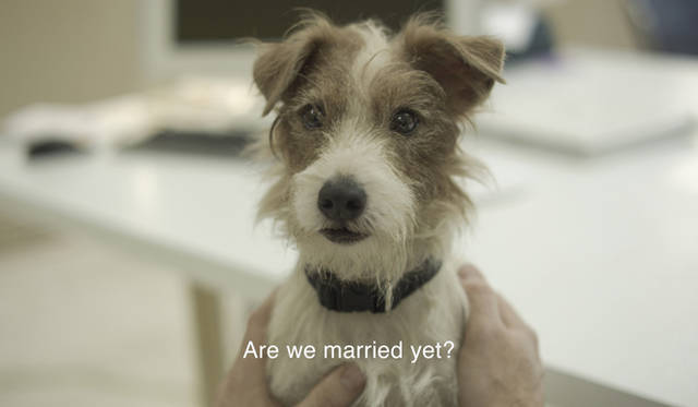 <strong>人生はビギナーズ｜OPENERS読者を特別試写会にご招待！</strong>