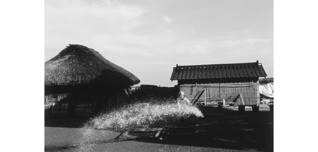 DEC23 <strong>写心気 357</strong> Photo by 立木義浩