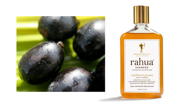 <strong>RAHUA｜ラウア</strong>　左／木の実状態のラウア、右／ラウア シャンプー