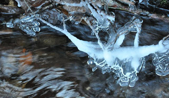 <b>塚田有一│みどりの触知学</b>　あおいこおり