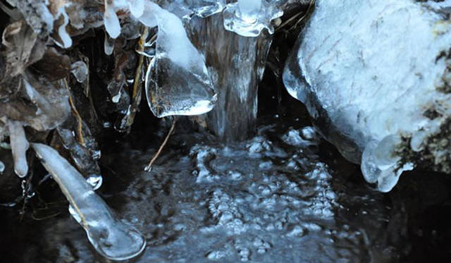 <b>塚田有一│みどりの触知学</b>　つららつらら