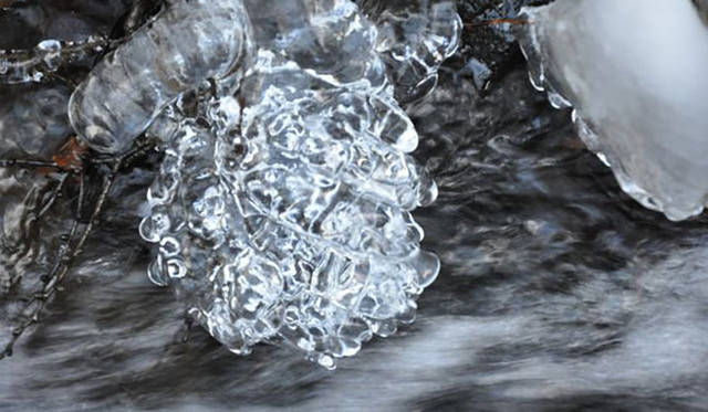 <b>塚田有一│みどりの触知学</b>　氷華