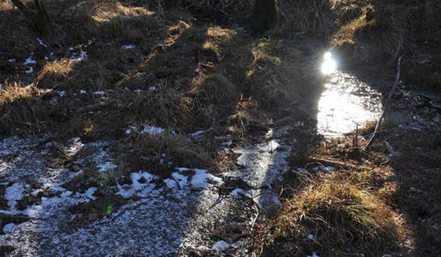 <b>塚田有一│みどりの触知学</b>　湧き水